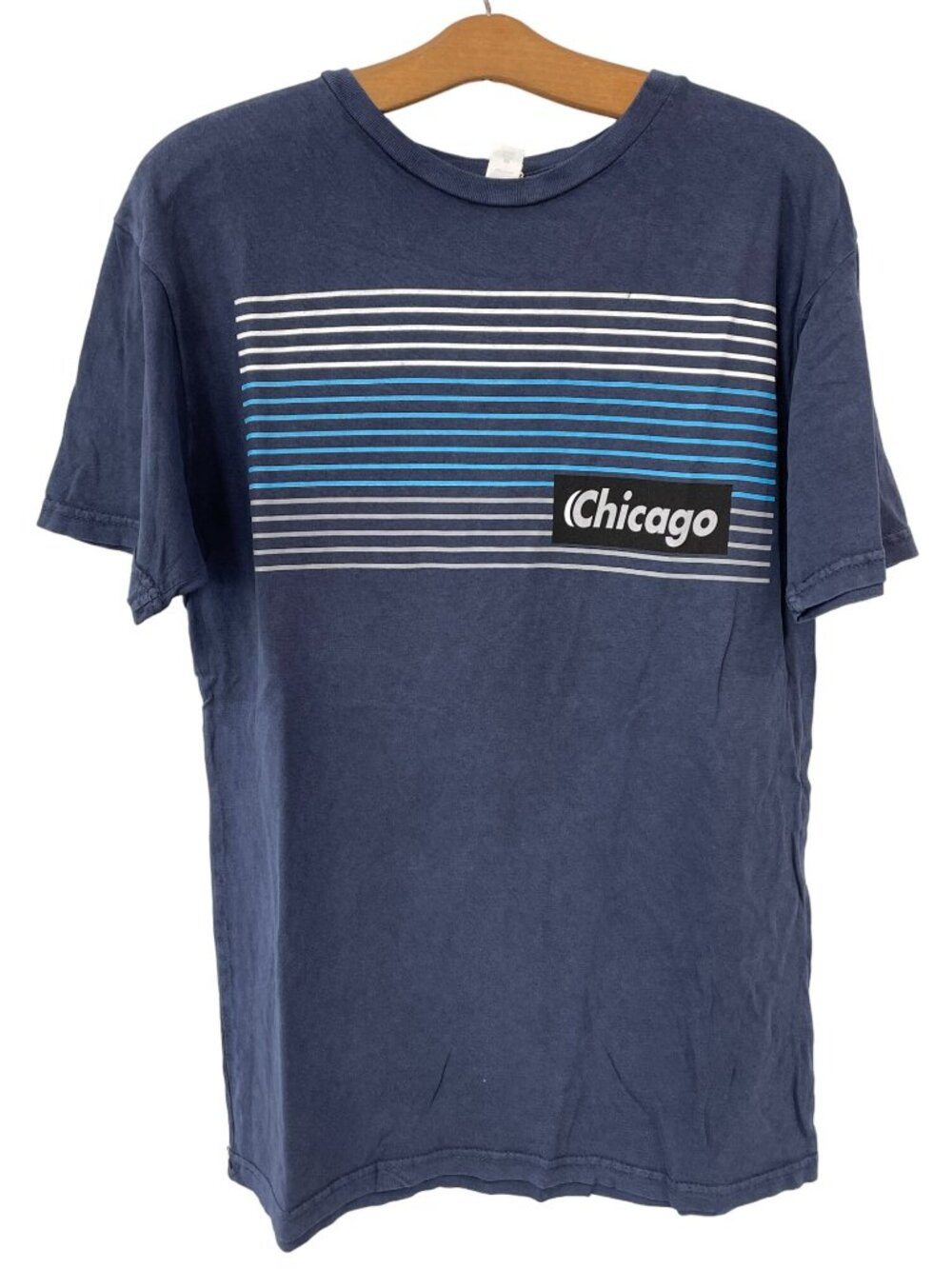 Good Land Supply Co. Graphic Tee Medium Chicago Striped Blue White Basic Tee NEW